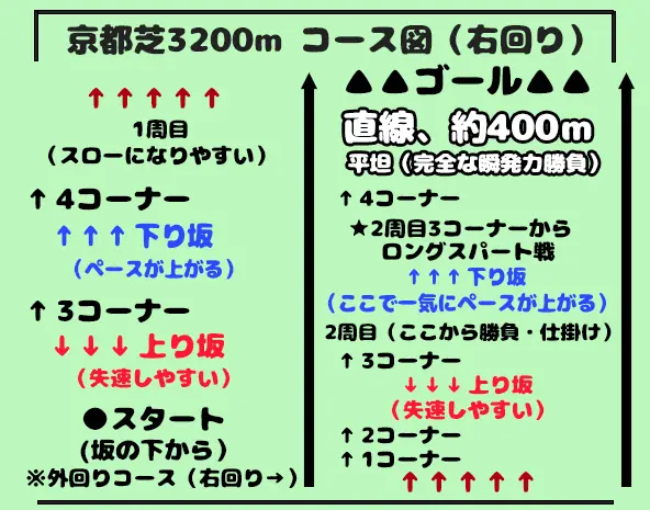 京都競馬場芝3200mのコース図解｜1周目と2周目の違い・高低差・ロングスパートの仕掛けポイントを解説
