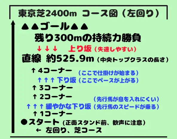東京競馬場芝2400mの高低差と仕掛けポイントを解説したコース図解