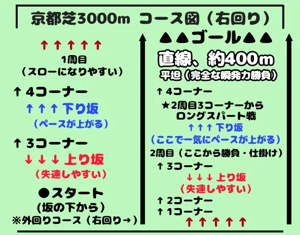 京都競馬場芝3000m外回りコース図｜スタート位置と淀の坂、直線の特徴